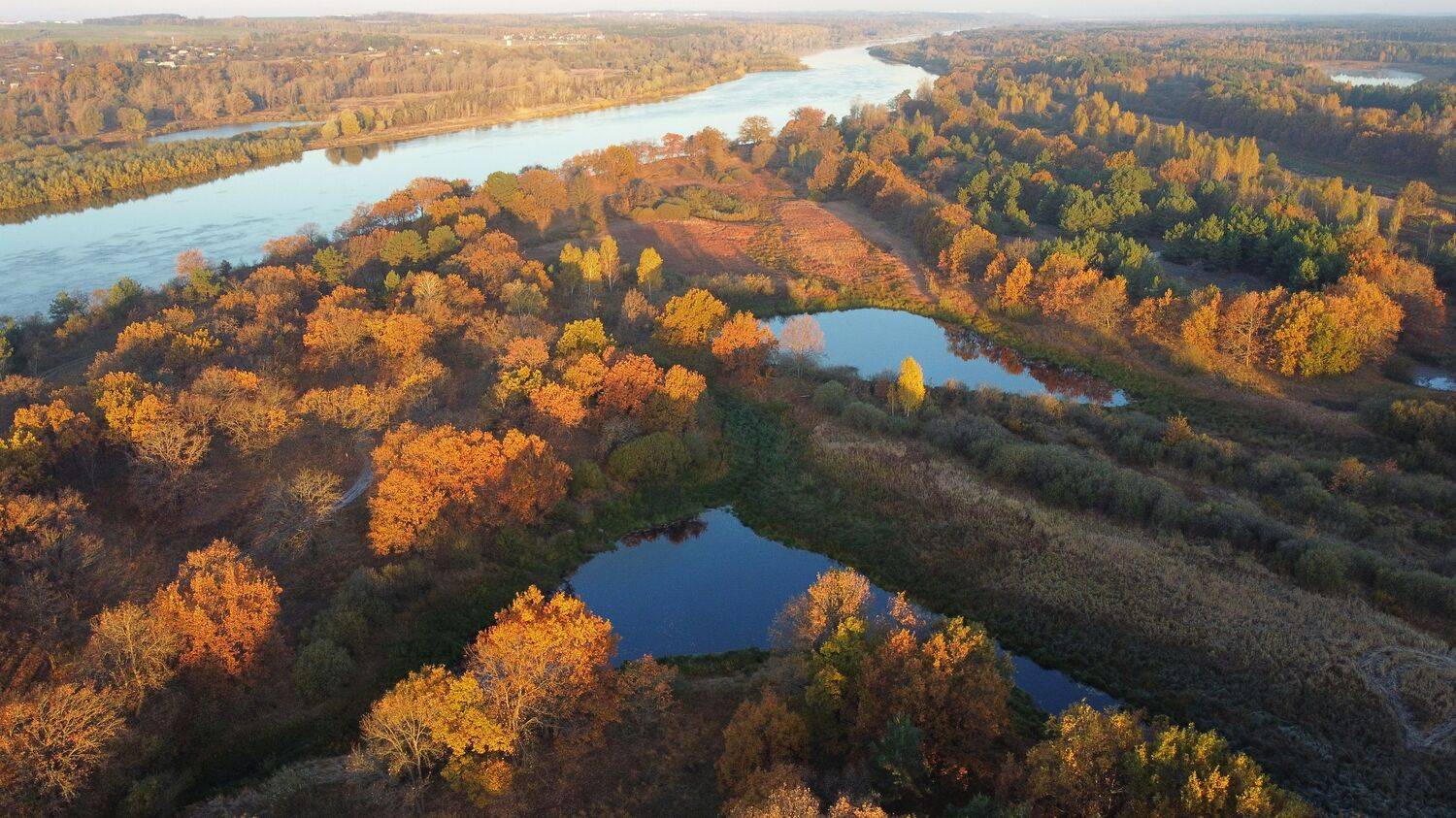 , Сергей Шляга