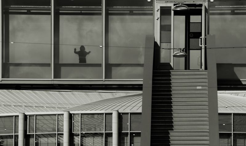 Shadow фото превью