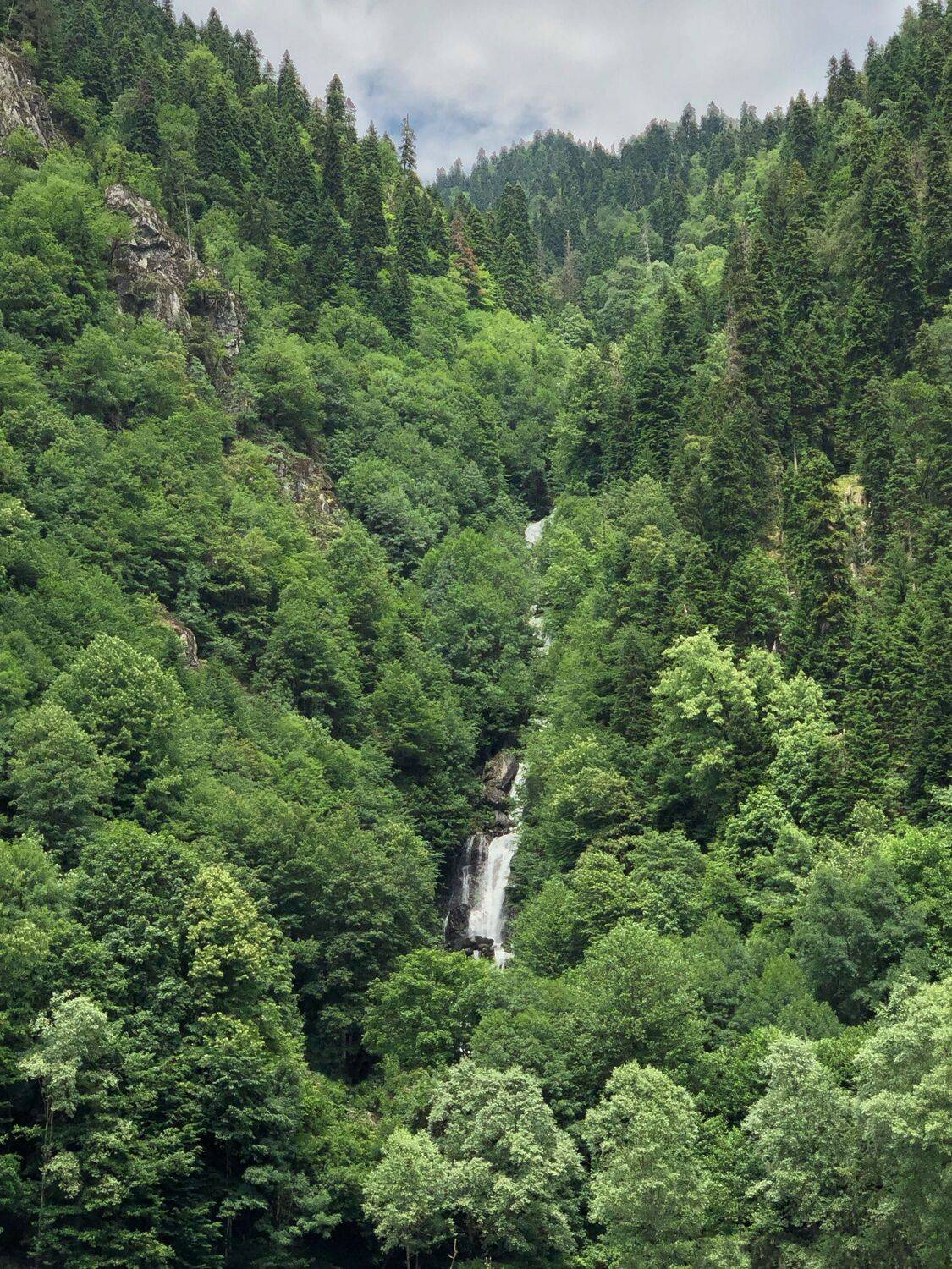 , Александр Шандов