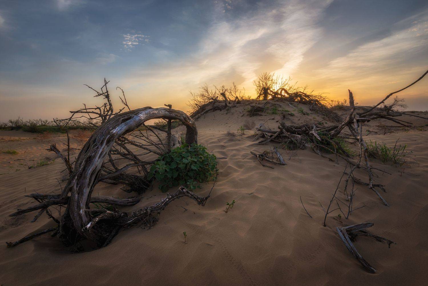 барханы,пески,закат, Наргиза Кахарова