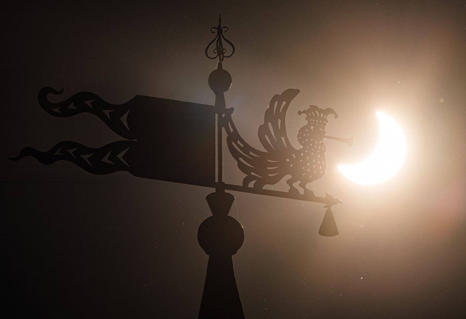 , Алексей Горохов