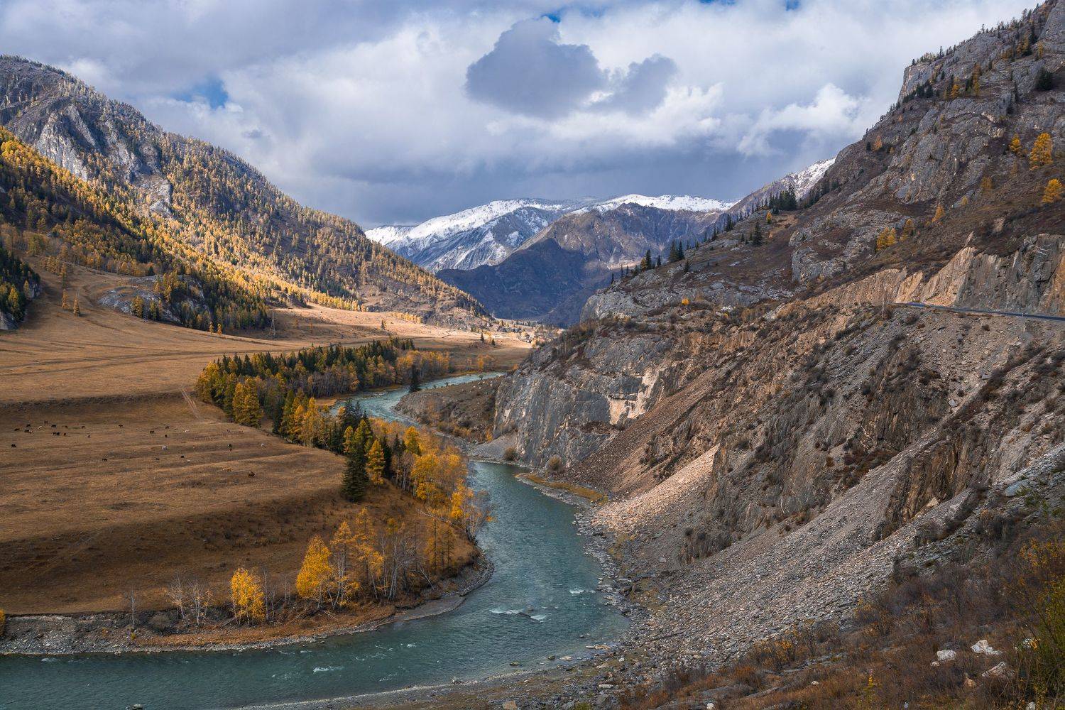 россия, горный алтай, река,осень, Андрей Поляков