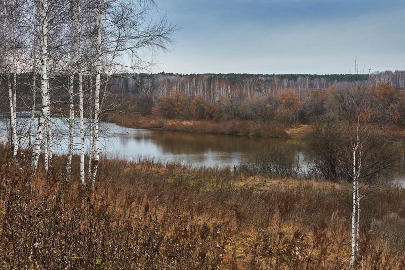 Безыскусные краски поздней осени фото превью