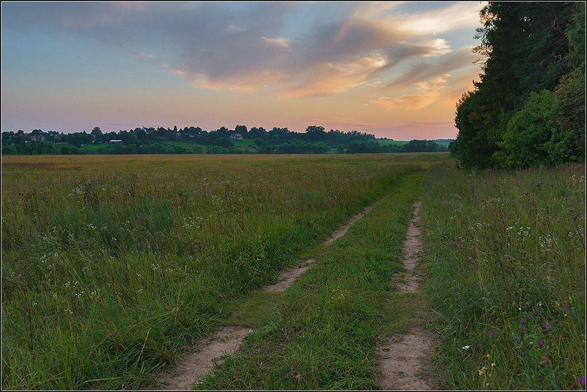 калужская обл., пойма р.протва, вечер, дорога, АНАТОЛИЙ ДОВЫДЕНКО