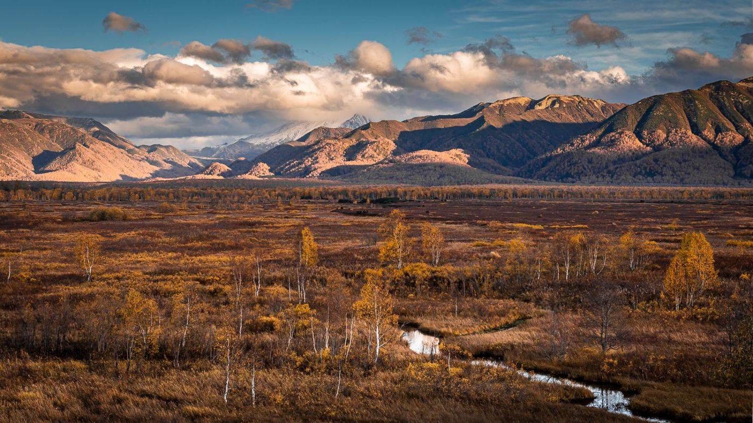 камчатский край,ганальская тундра, Евгений Житников
