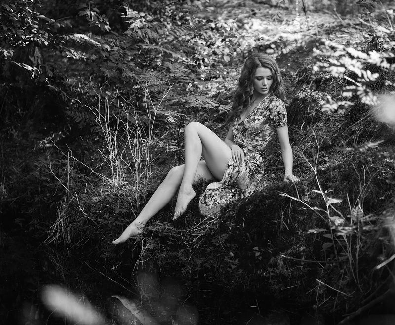 *** фото превью