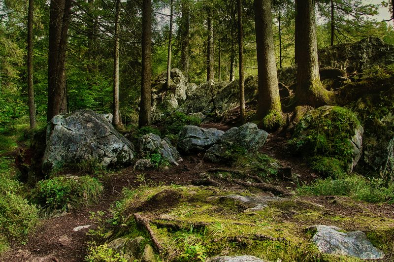 *** фото превью