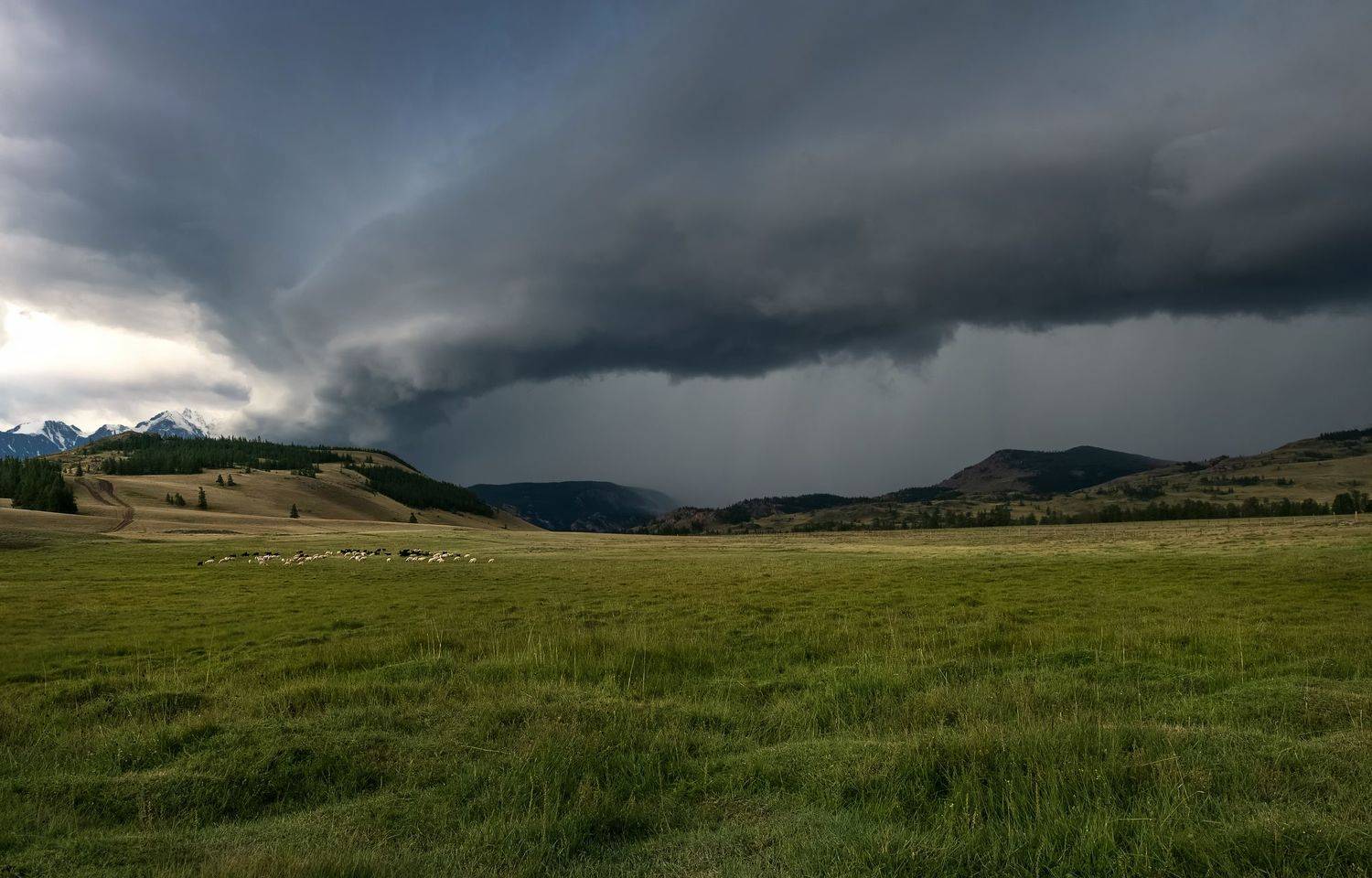 небо, небесная стихия, алтай, Марина Фомина