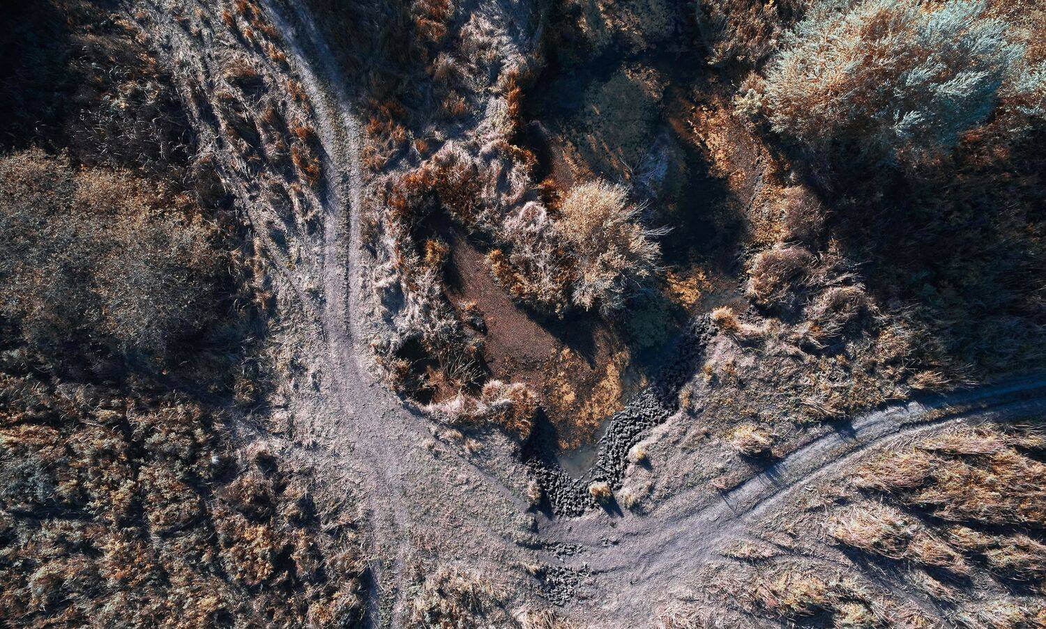 landscapes, volgograd, russia, wildlife, road, , Сторчилов Павел