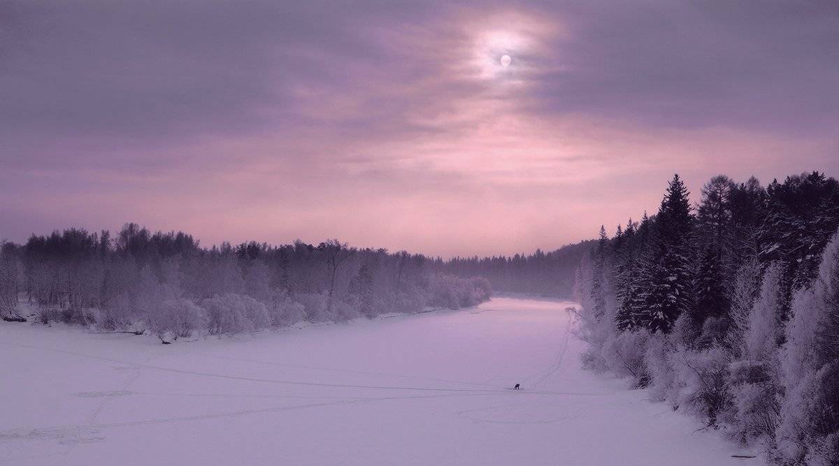 , Николай Морский