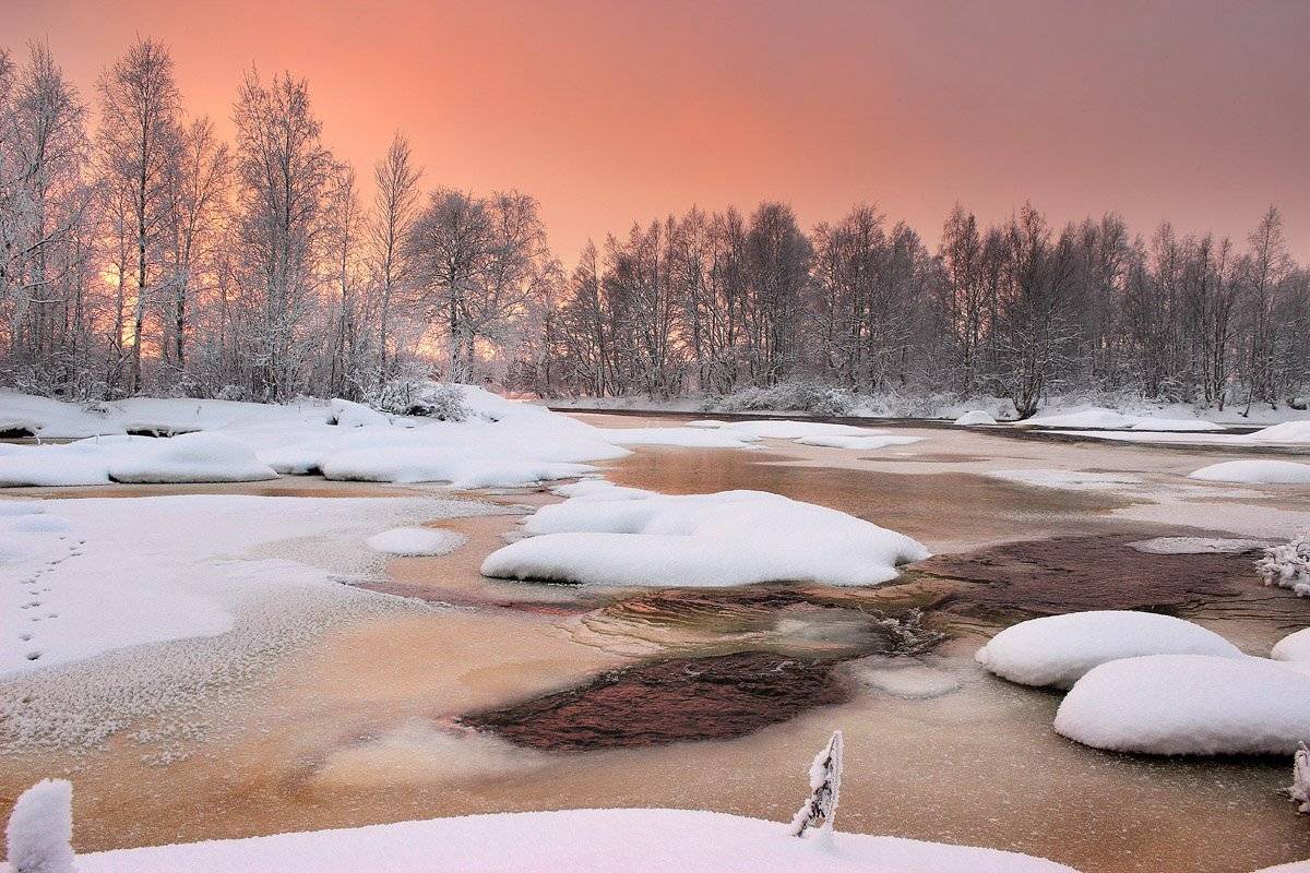 , Александр Коротков
