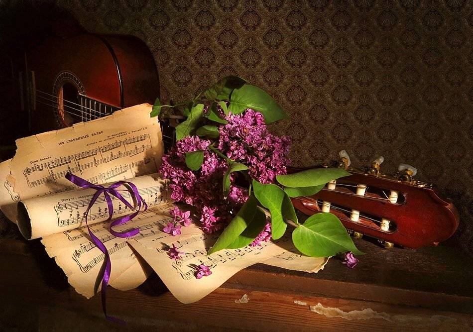 , Алла Шевченко