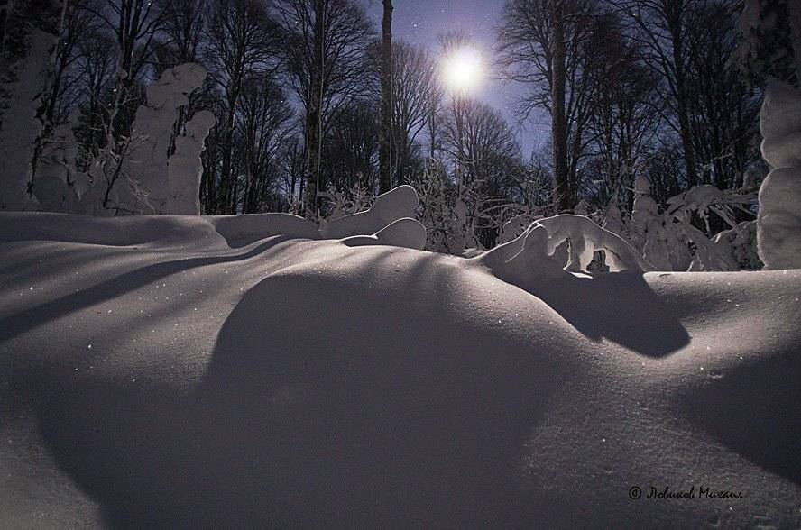 , Ловиков Михаил