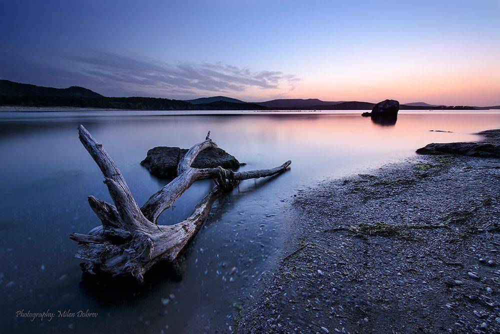 , Милен Добрев