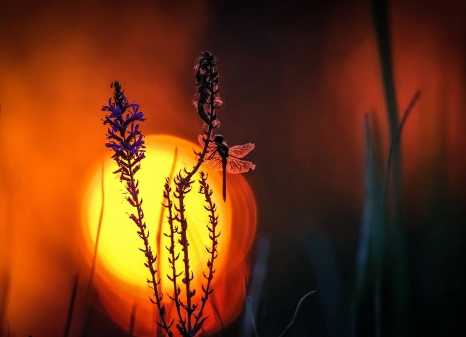 , Вячеслав Мищенко