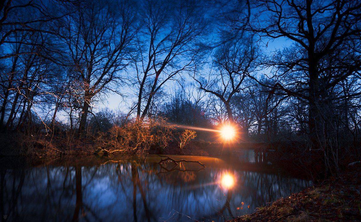 star, light, forest, lake, Wojciech Grzanka