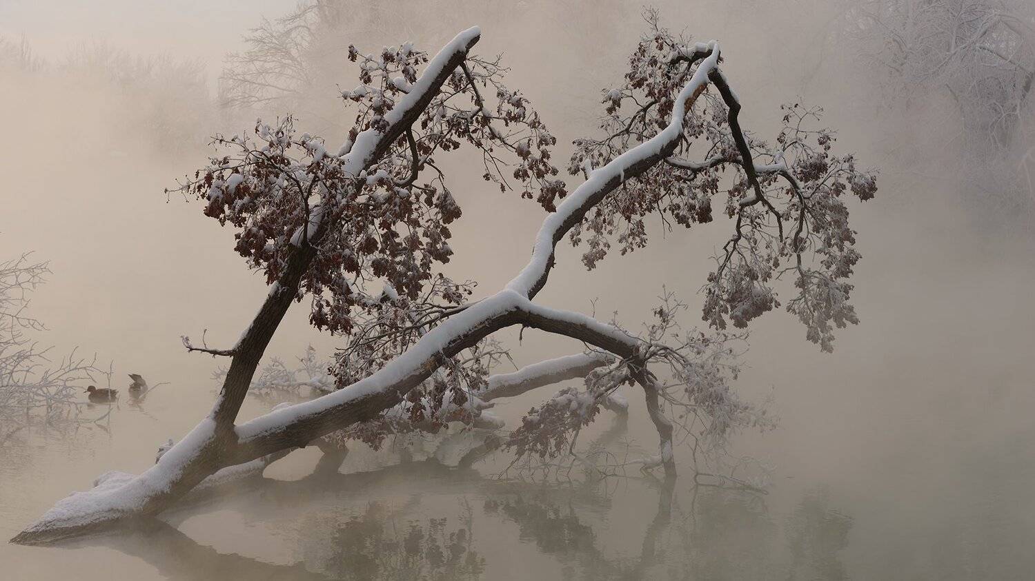 , Alexander Plekhanov