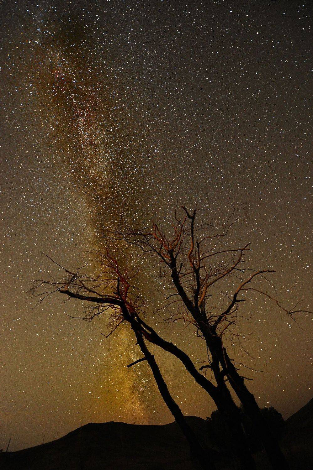 , Орлов Михаил