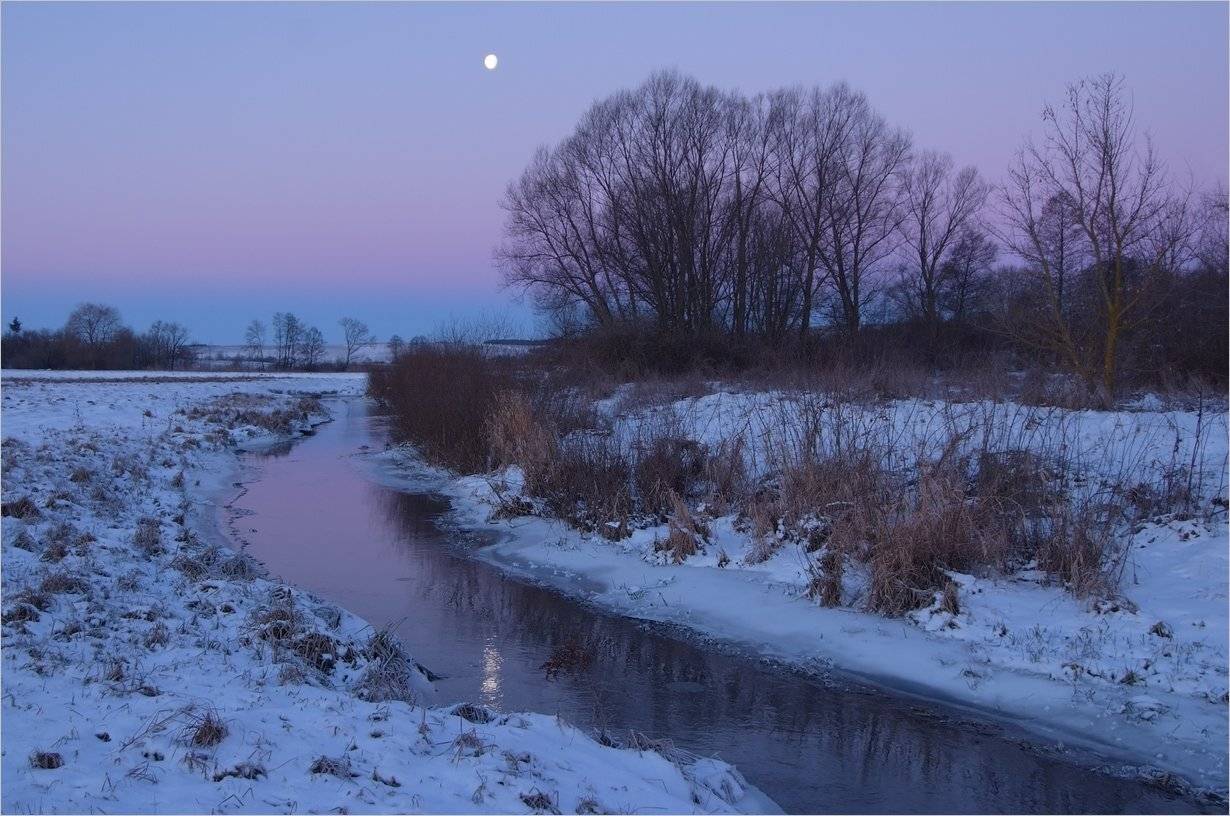 , Николай Шахманцир