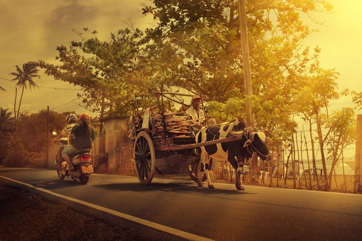 , Виталий Пономаренко