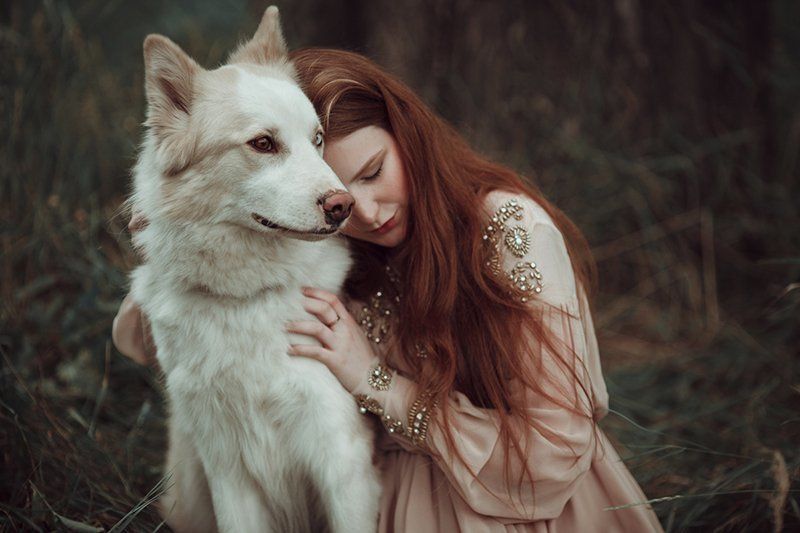 В тишине леса фото превью