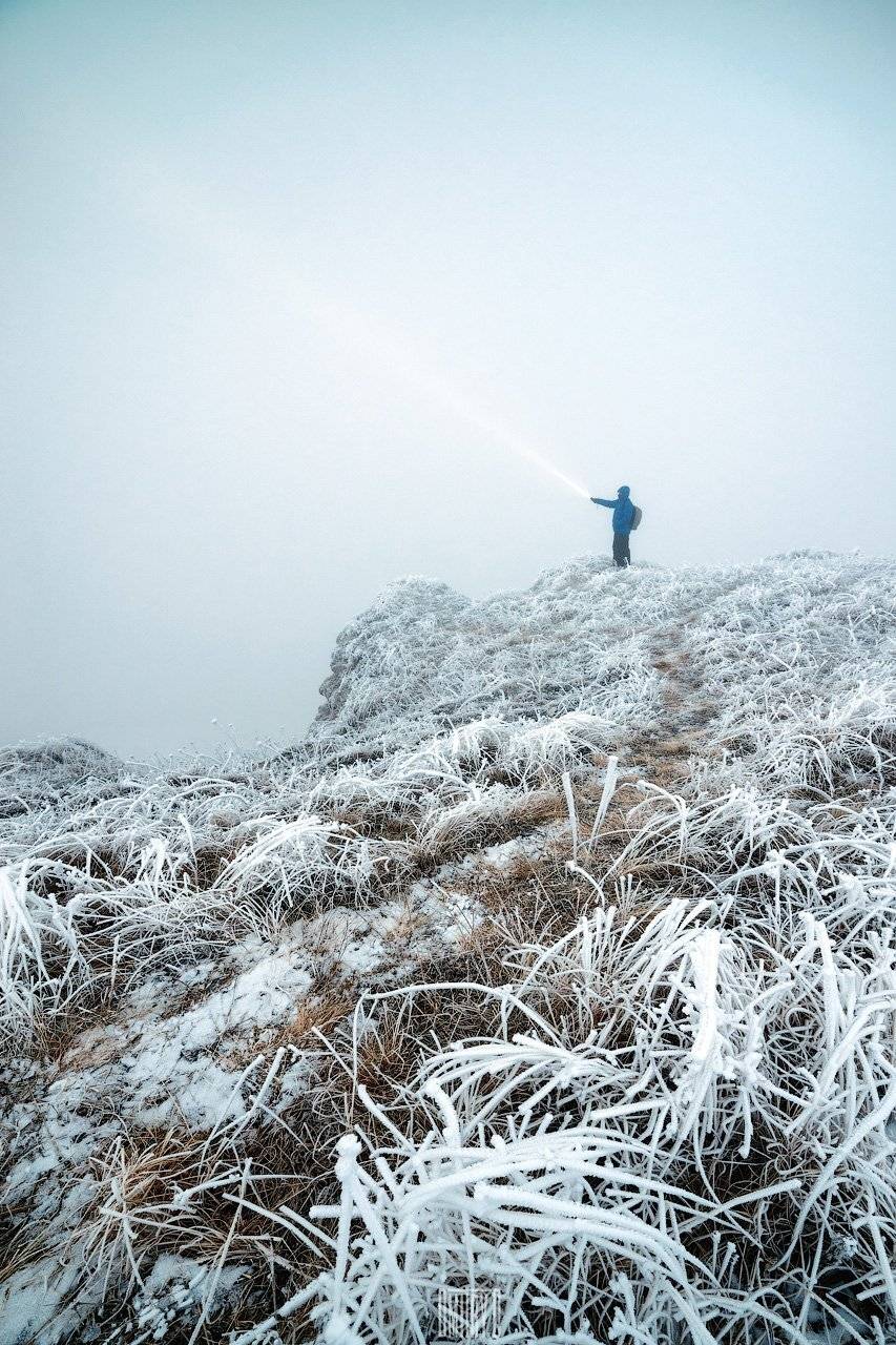 , Дмитрий Доронин
