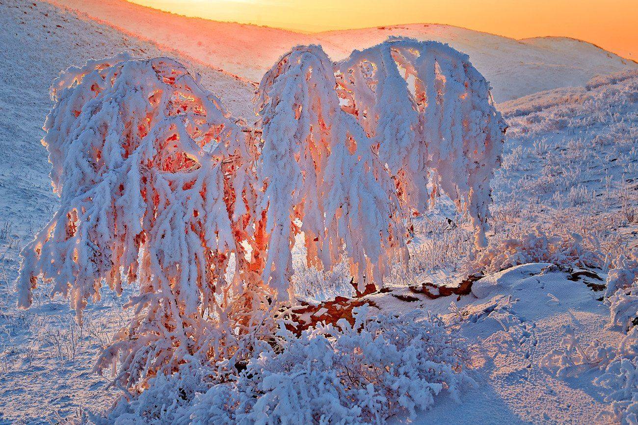 , Качурин Алексей
