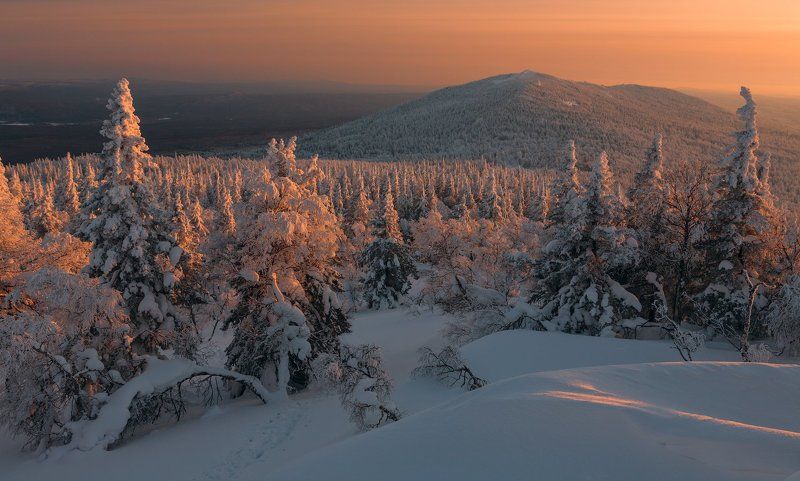 Дикие тропы Урала фото превью