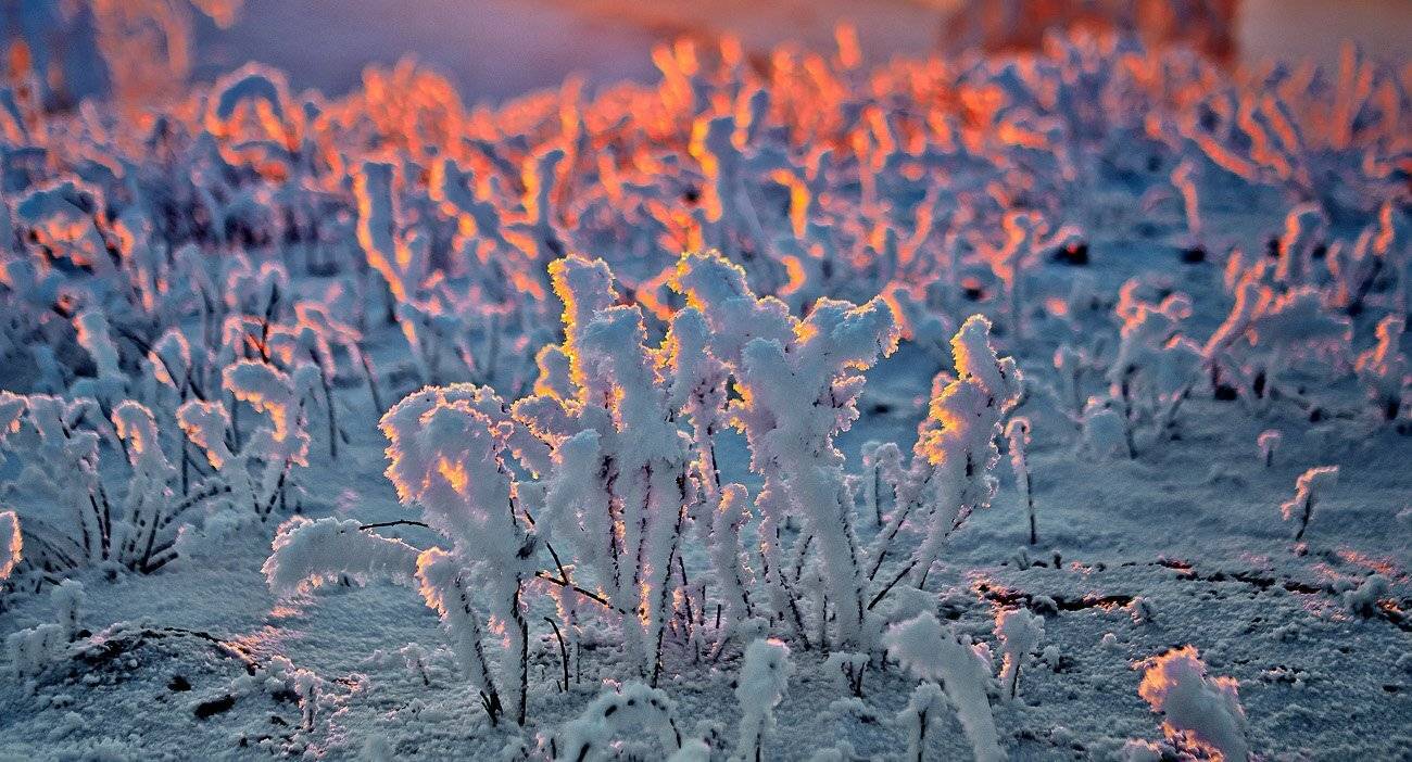 , Качурин Алексей