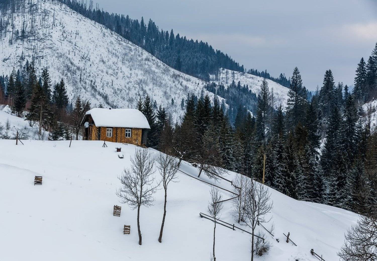 , Игорь Иванов (slanec)