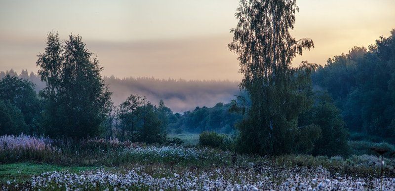 Утро в сиреневых тонах фото превью