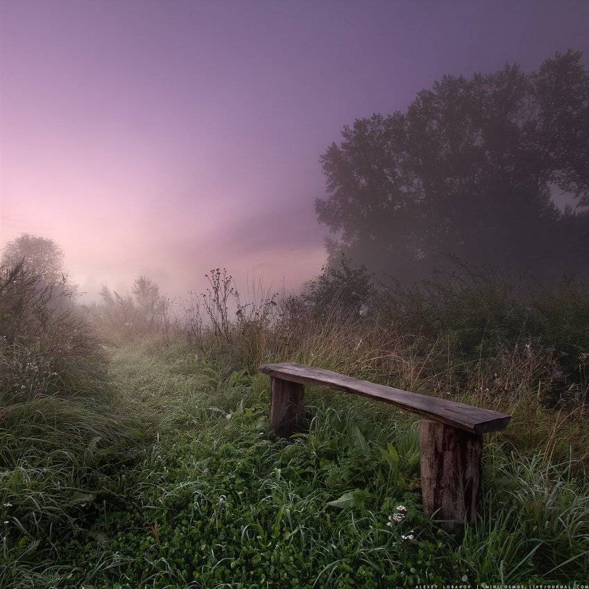 , Алексей Лобанов