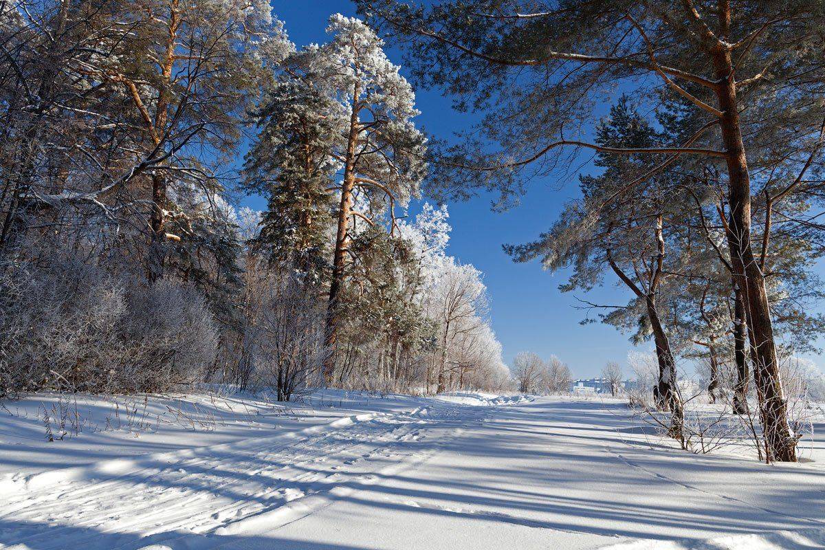 , Kuchkai_murza