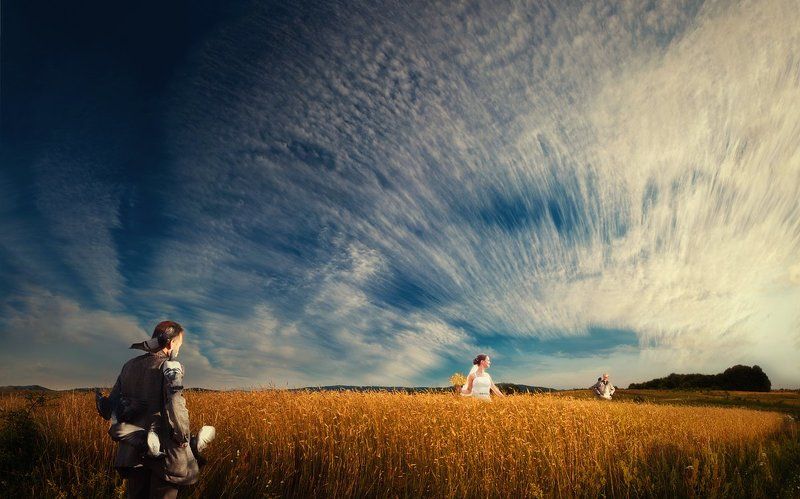 .....Harvest..... фото превью