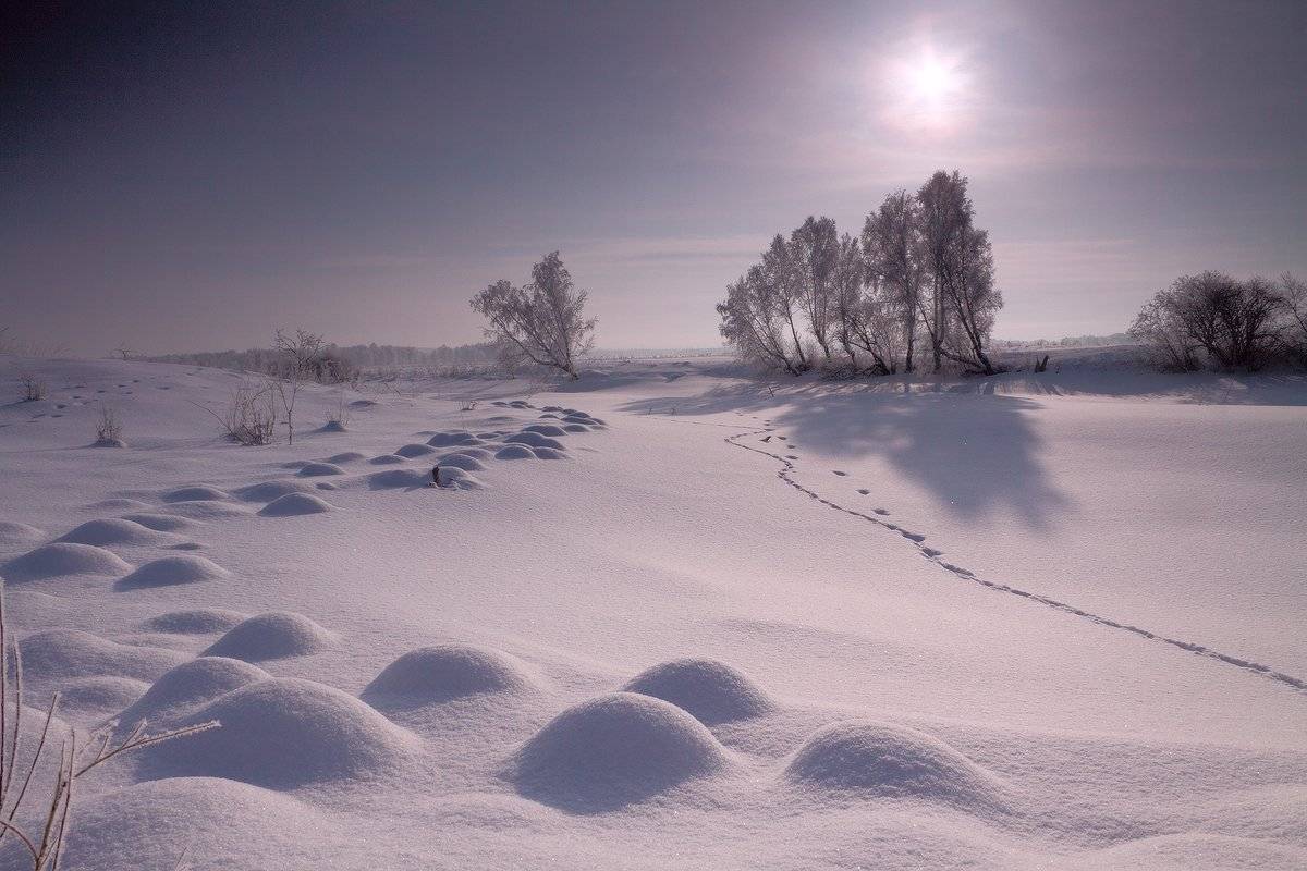 , Николай Морский