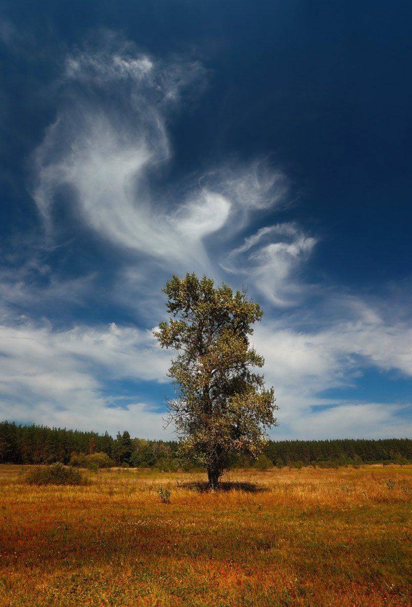 , Петриченко Валерий