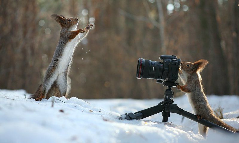 Ты сними, сними меня, фотограф