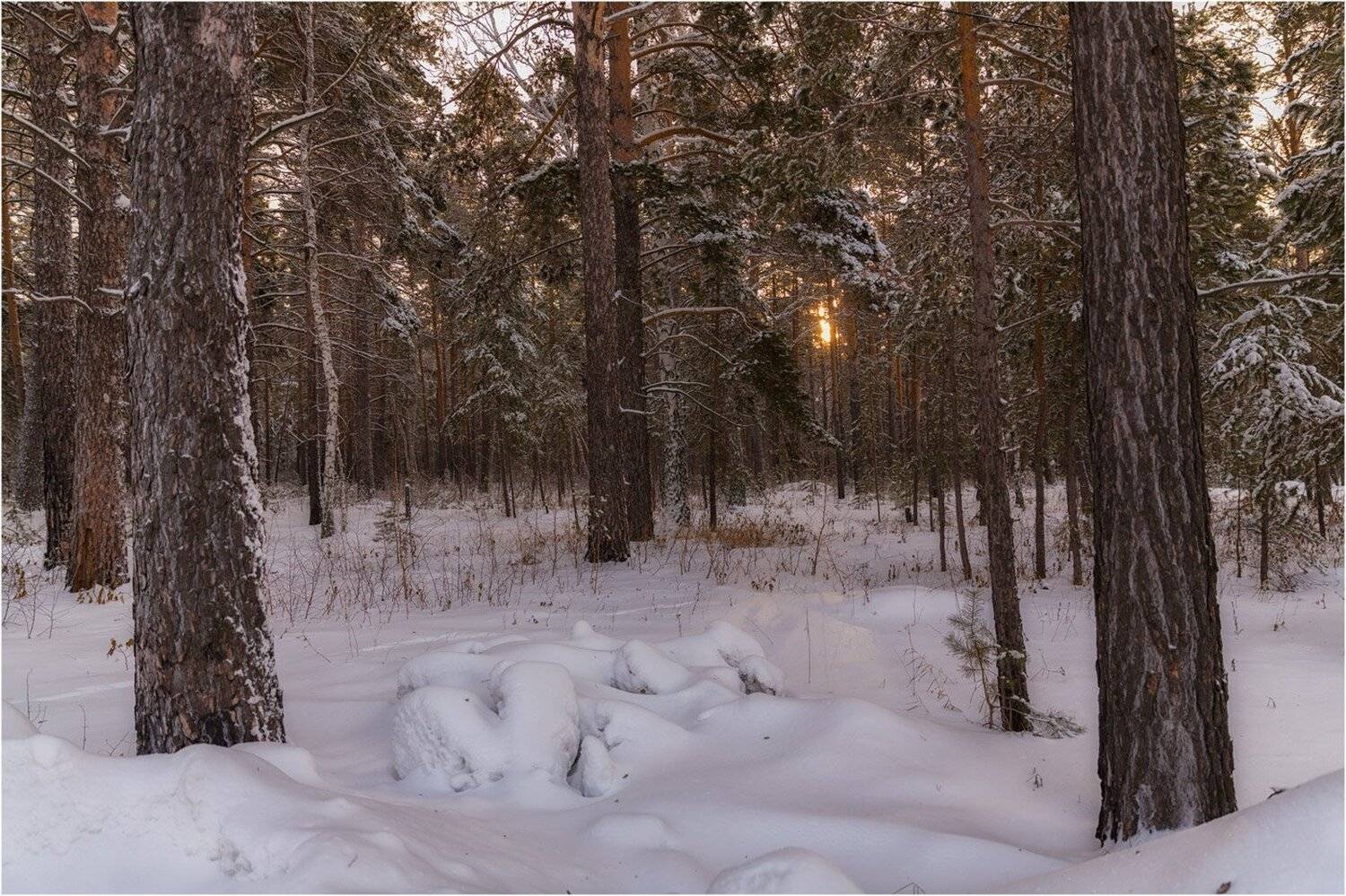 , Евгений