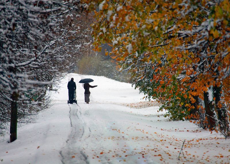 Прогулка из осени в зиму. фото превью