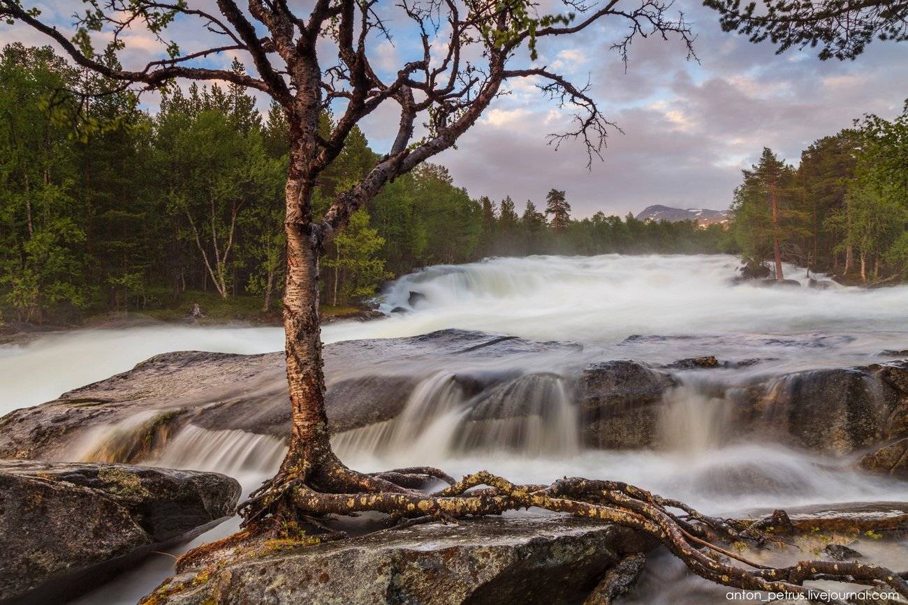 , Антон Петрусь