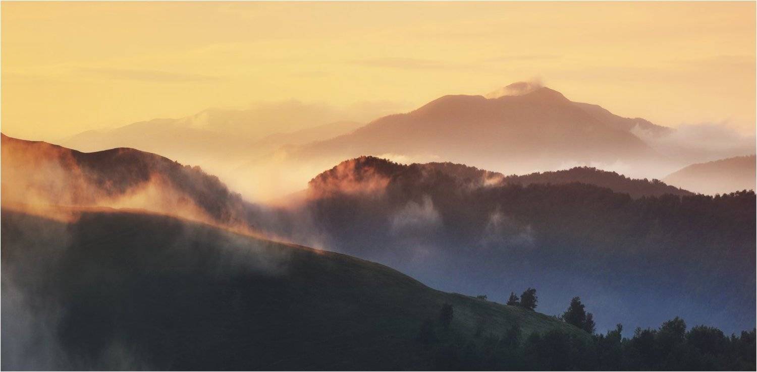 , Денис Кривой