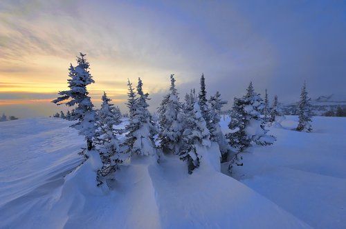 Выбираем настроение или горе от ума...