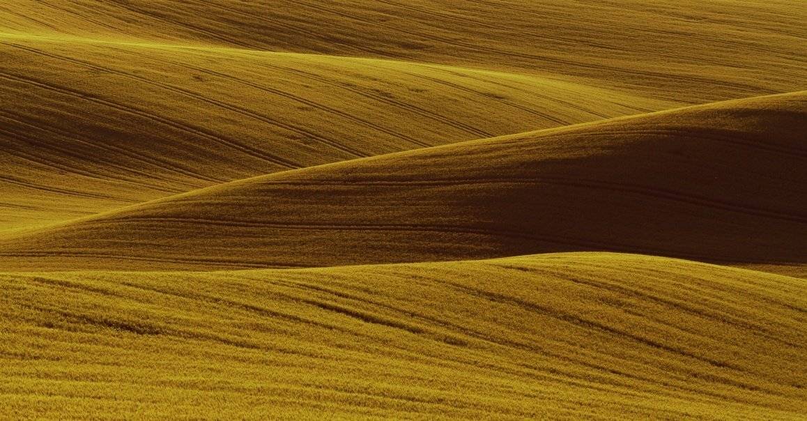 , Franti&scaron;ek Uhler