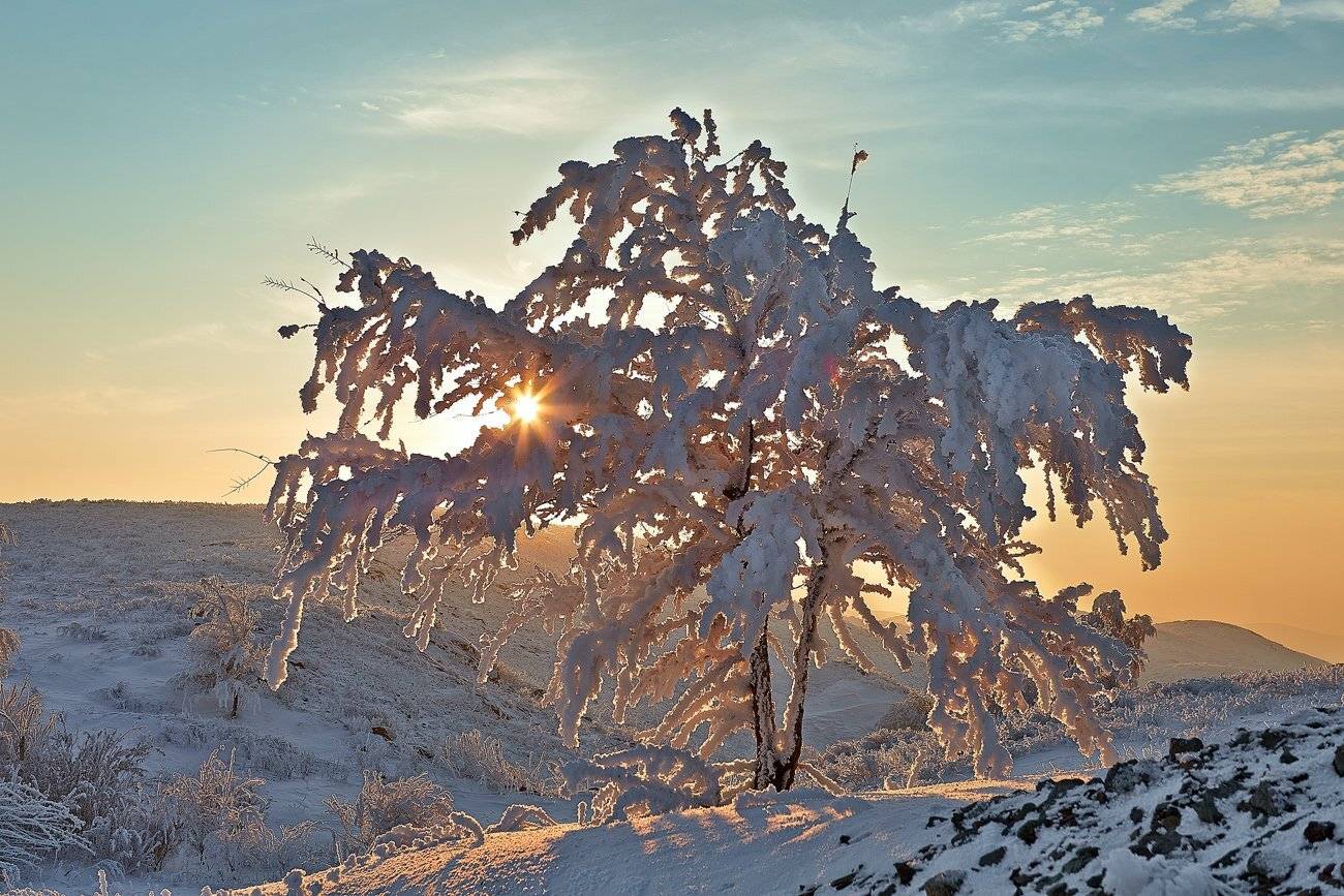 , Качурин Алексей