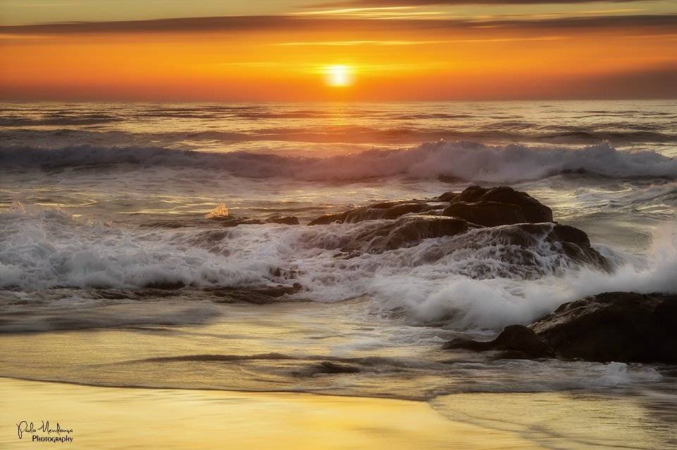 , Paulo Mendon&ccedil;a