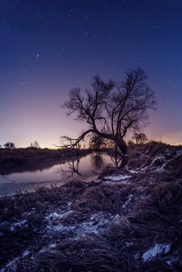 , Katarzyna Gritzmann