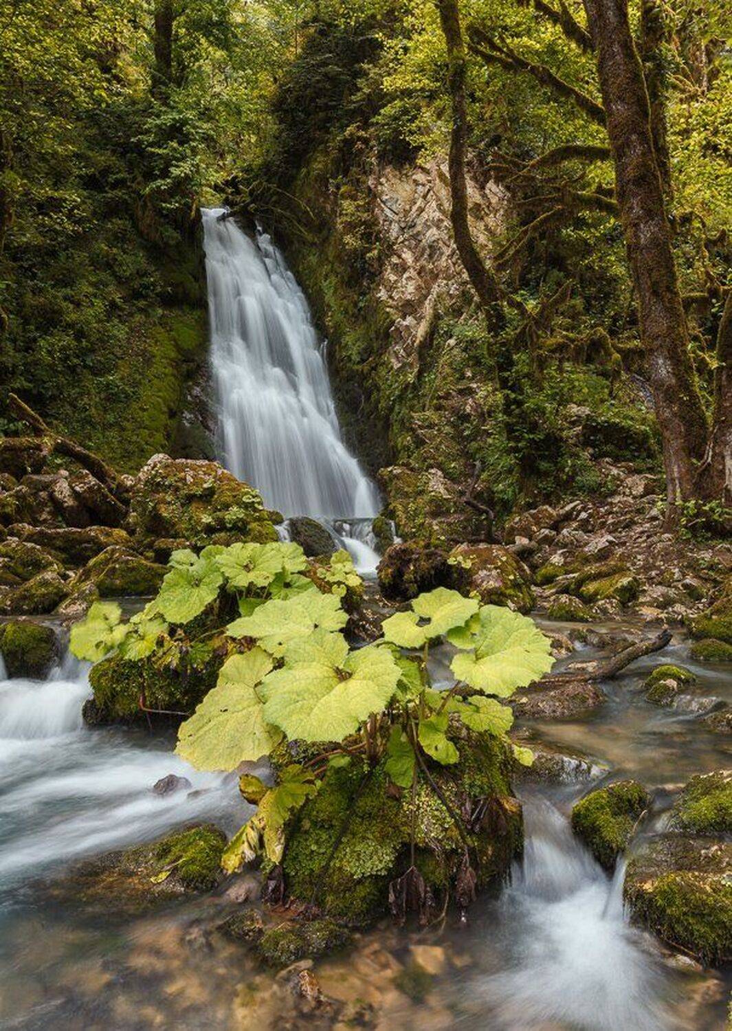 Абхазия, Ачандара, Водопад, Константин