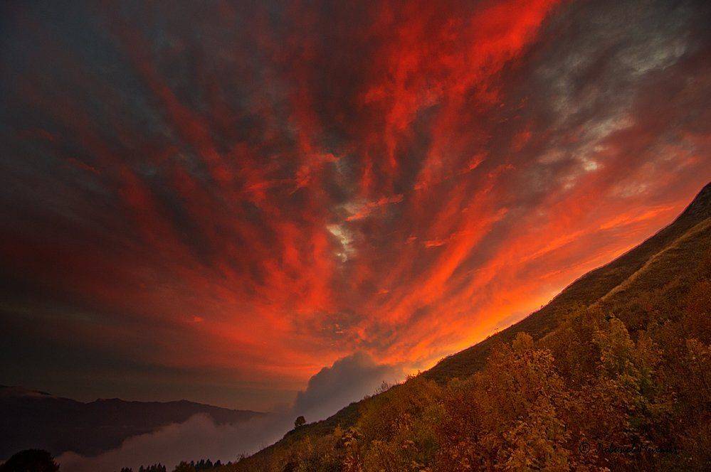 , Ловиков Михаил