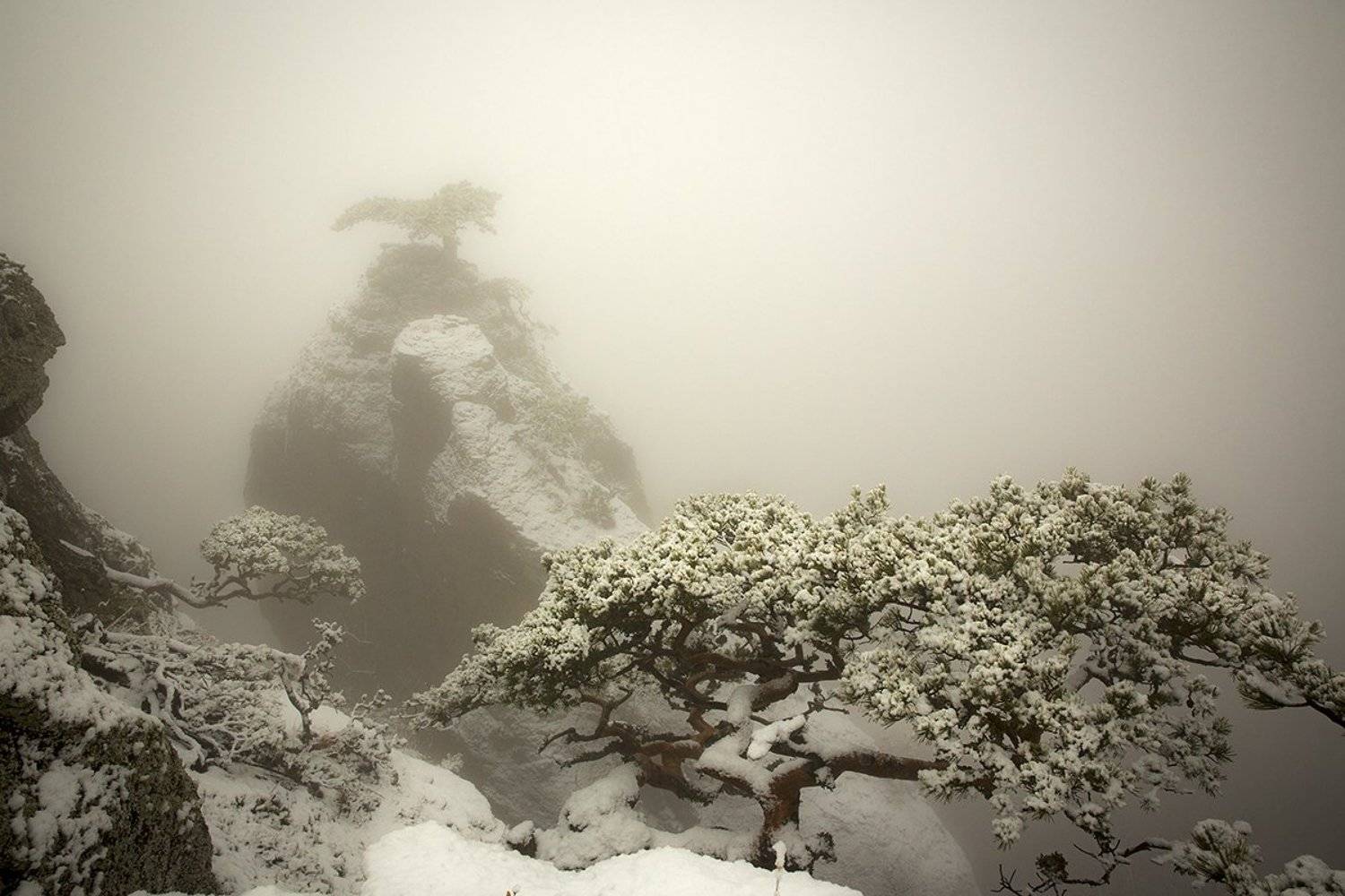 , Сергей Шульга