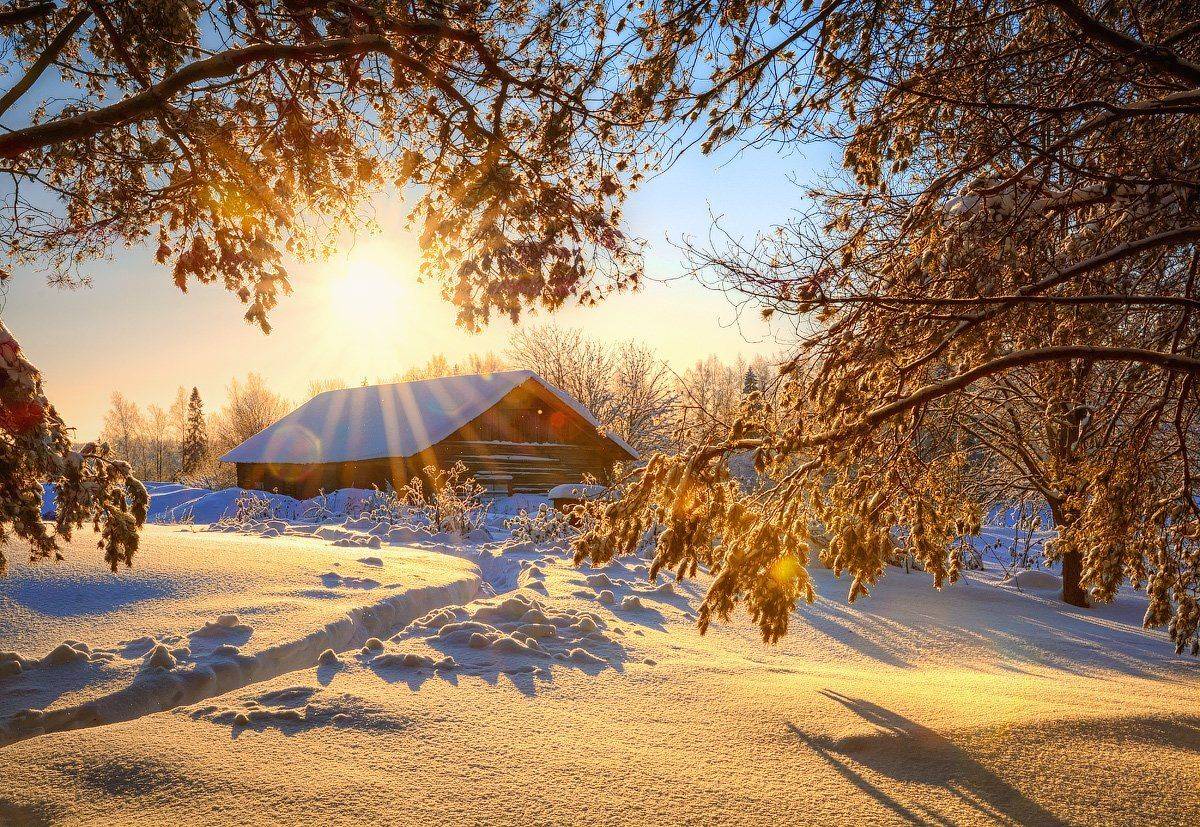 , Марина Никифорова